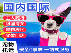 毕节飞雄国际宠物托运 【国